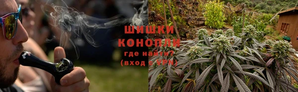 мдпв Киреевск