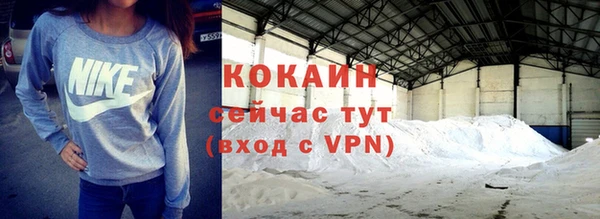 кокс Щигры